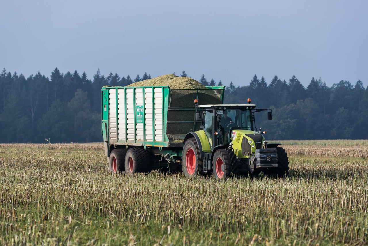 Bild 131 - Maisernte